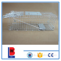 Liebang Metal Live Animal Cage Traps pour lapins